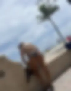 A mix 8.0 (oc)
