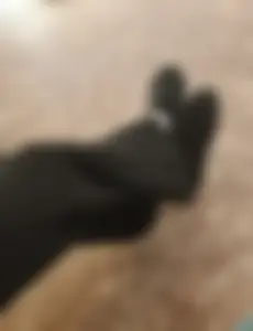 Skinny Teen Candid Girl's Legs in Pants And Shoes Spy Photo