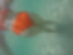 Underwater in a fantastic bikini