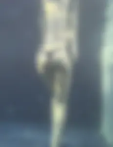 Sexy Tall Blonde in Blue Bikini caught underwater🌊