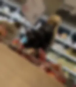 Long leg and ass German blondie in legging at supermarkt