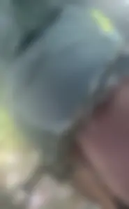 Theme Park Candid Ass With Face Shots (OC)