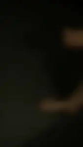 A bunch of nice girls' feed pics and vids