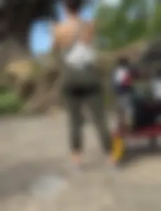 Animal Kingdom Spandex