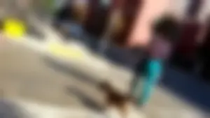 Sexy girl in teal spandex walking her dog