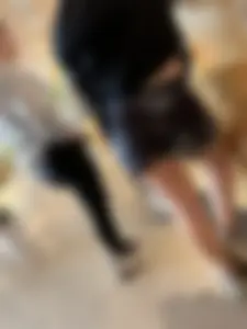 3 college PAWGS in leggings