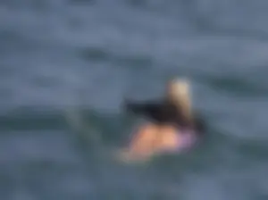 Blonde Surfer Girl in a One-Piece Swimsuit Photo Gallery