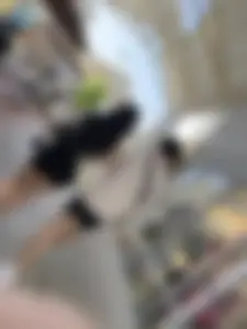 Thick ass shoping