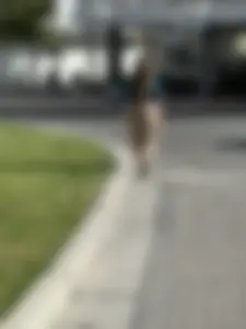 Couldn’t Follow Her Long Enough