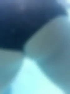 Under Water Pool Closeups of Booty in Swimsuit