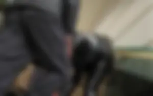 Shiny leather leggings scalator show