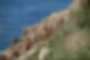 Nude beach girls in Baska, Croatia