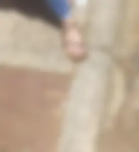 A bunch of nice girls' feed pics and vids