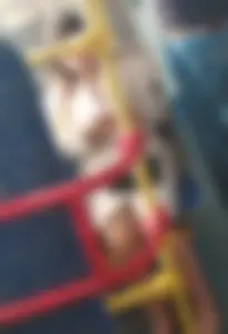 Girl with Nice Legs in Flats Public Bus Creepshots