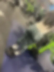 Gym latina pt2 (oc)