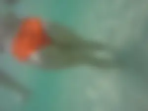 Underwater in a fantastic bikini