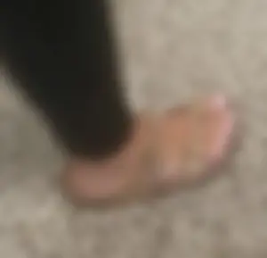 A bunch of nice girls' feed pics and vids