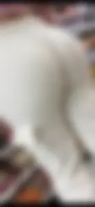 Same Latina, 3 seperate times! O/C