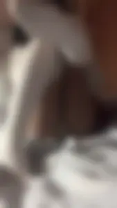 Selfie in Bed in White Knee Socks and Panties