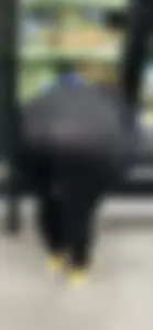 Chic magically reveals VPL with a sweet deep bendover‼️