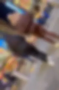 OC Bubble PAWG Duo