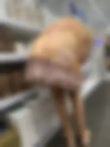 Mother upskirt and daughter showing ass cheeks