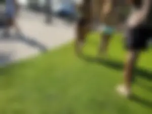 Hot Florida girls