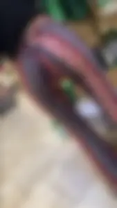 Upshot on a tight booty blonde (OC)