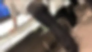 Valentine’s Day Sneak Peek