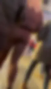 OC Bubble PAWG Duo