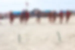 Lifeguard tournament girls on the beach