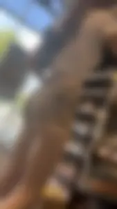 Tight bubble butt girls cheeks fall out of tiny shorts! (OC)