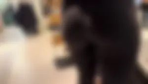 Pawg ~ (oC)