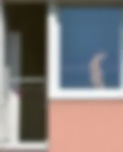 Peeping Tom pics of a topless girl in her house with nice tits
