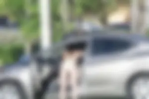 Deerfield Beach bikini babes