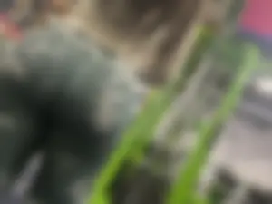 Gym latina pt2 (oc)
