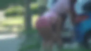 Thick booty babe walking her dogs in pink shorts
