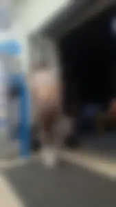 Latina jiggle big butt in brown leggings