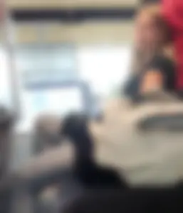 Hot busty blonde on train