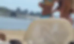 Blonde beach girl with a great ass in pink thong bikini