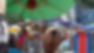 Praia no Brasil parte 79