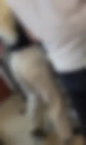 Petite blonde bubble butt coworker Part 5