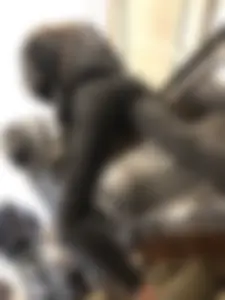 Girl in Leather Jacket and Skinny Jeans Subway Creepshots