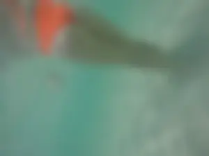 Underwater in a fantastic bikini