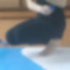 Skinny teen painting on the floor