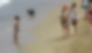 Taking a walk on the beach