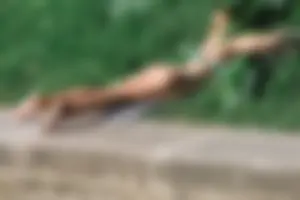 Huge collection of legs and feet photos taken in pubilc places