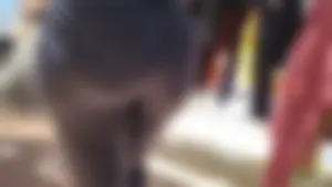 Amazing phat ass bubble booty in leggings