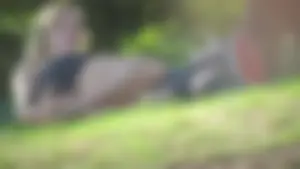 Bunch of sexy girls upskirted at parks showing their panties and asses
