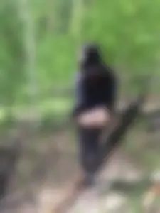 Chubby Teen in Yoga Pants Showing Ass in the Forest